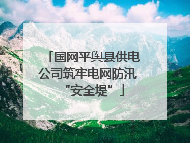 国网平舆县供电公司筑牢电网防汛“安全堤”