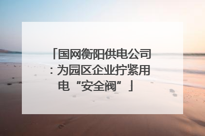 国网衡阳供电公司：为园区企业拧紧用电“安全阀”