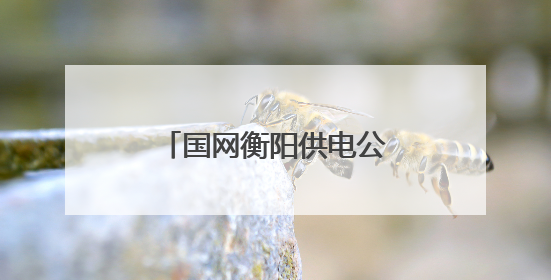 国网衡阳供电公司：主变增容 为度夏供电添保障