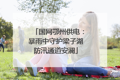 国网鄂州供电：暴雨中守护梁子湖防汛通道安澜