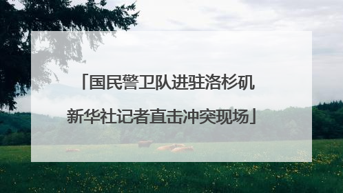国民警卫队进驻洛杉矶 新华社记者直击冲突现场