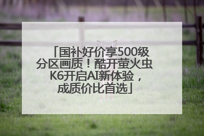 国补好价享500级分区画质！酷开萤火虫K6开启AI新体验，成质价比首选