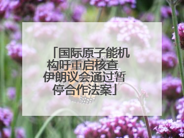 国际原子能机构吁重启核查 伊朗议会通过暂停合作法案