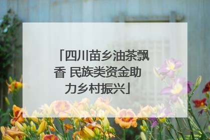 四川苗乡油茶飘香 民族类资金助力乡村振兴