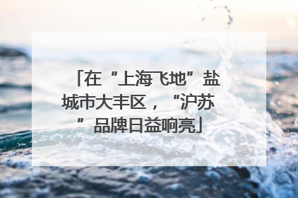 在“上海飞地”盐城市大丰区，“沪苏”品牌日益响亮