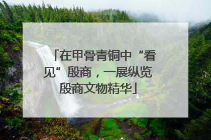 在甲骨青铜中“看见”殷商，一展纵览殷商文物精华