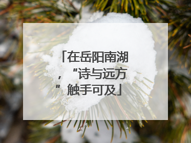 在岳阳南湖，“诗与远方”触手可及
