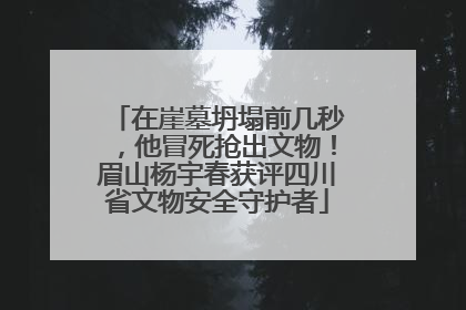 在崖墓坍塌前几秒，他冒死抢出文物！眉山杨宇春获评四川省文物安全守护者