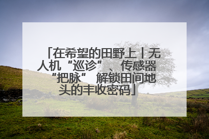 在希望的田野上丨无人机“巡诊”、传感器“把脉” 解锁田间地头的丰收密码