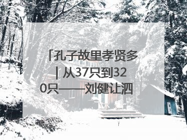 孔子故里孝贤多｜从37只到320只——刘健让泗水裘皮羊重生