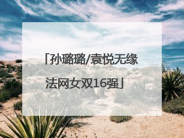 孙璐璐/袁悦无缘法网女双16强