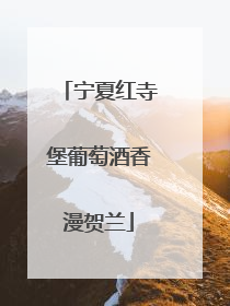 宁夏红寺堡葡萄酒香漫贺兰