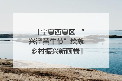 宁夏西夏区 “兴泾黄牛节”绘就乡村振兴新画卷