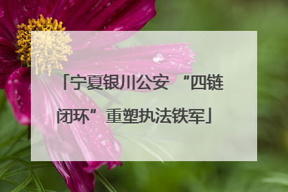 宁夏银川公安 “四链闭环”重塑执法铁军