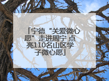 宁德“关爱微心愿”走进周宁 点亮110名山区学子微心愿