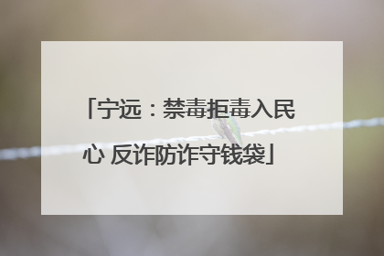 宁远：禁毒拒毒入民心 反诈防诈守钱袋