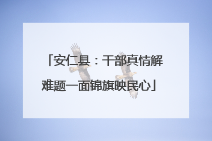 安仁县：干部真情解难题一面锦旗映民心