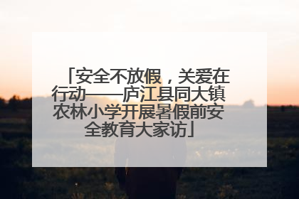 安全不放假，关爱在行动——庐江县同大镇农林小学开展暑假前安全教育大家访