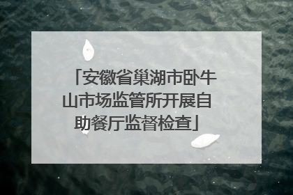 安徽省巢湖市卧牛山市场监管所开展自助餐厅监督检查