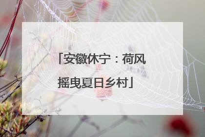 安徽休宁：荷风摇曳夏日乡村