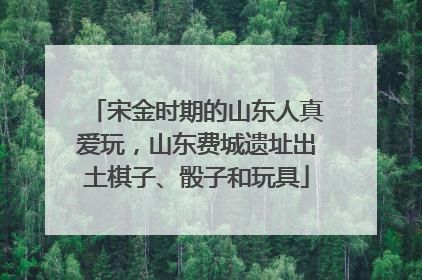 宋金时期的山东人真爱玩，山东费城遗址出土棋子、骰子和玩具