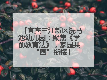 宜宾三江新区洗马池幼儿园：聚焦《学前教育法》，家园共“画”衔接