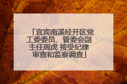 宜宾南溪经开区党工委委员、管委会副主任周虎 接受纪律审查和监察调查