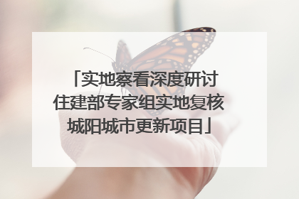 实地察看深度研讨 住建部专家组实地复核城阳城市更新项目