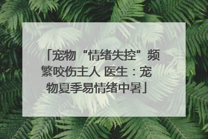 宠物“情绪失控”频繁咬伤主人 医生：宠物夏季易情绪中暑