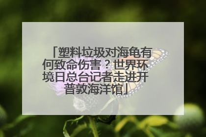 塑料垃圾对海龟有何致命伤害？世界环境日总台记者走进开普敦海洋馆