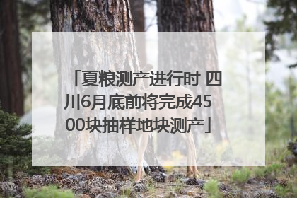 夏粮测产进行时 四川6月底前将完成4500块抽样地块测产