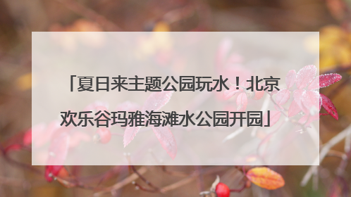夏日来主题公园玩水！北京欢乐谷玛雅海滩水公园开园