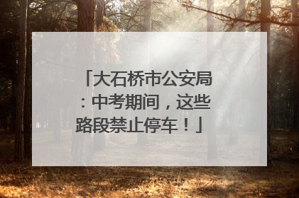 大石桥市公安局：中考期间，这些路段禁止停车！