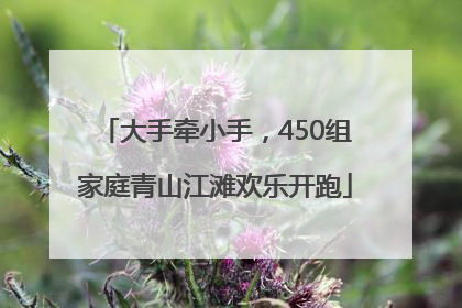 大手牵小手，450组家庭青山江滩欢乐开跑