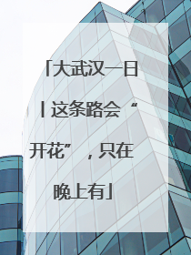 大武汉一日丨这条路会“开花”，只在晚上有