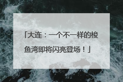 大连：一个不一样的梭鱼湾即将闪亮登场！