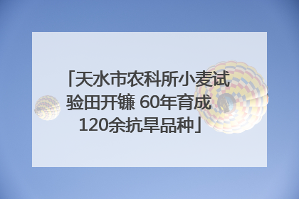 天水市农科所小麦试验田开镰 60年育成120余抗旱品种
