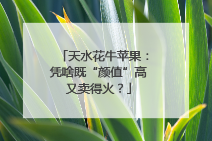 天水花牛苹果：凭啥既“颜值”高又卖得火？