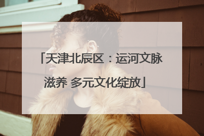 天津北辰区：运河文脉滋养 多元文化绽放