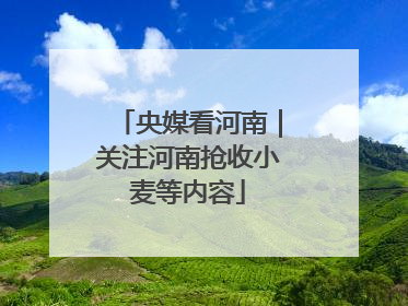央媒看河南｜关注河南抢收小麦等内容