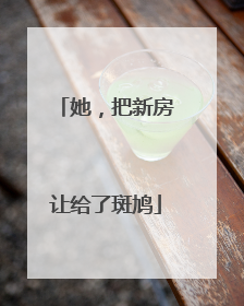 她，把新房让给了斑鸠