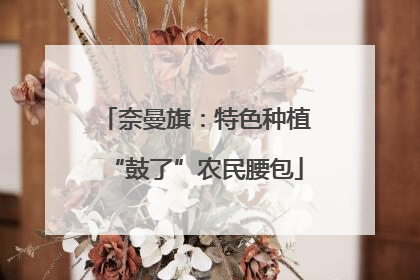 奈曼旗：特色种植“鼓了”农民腰包