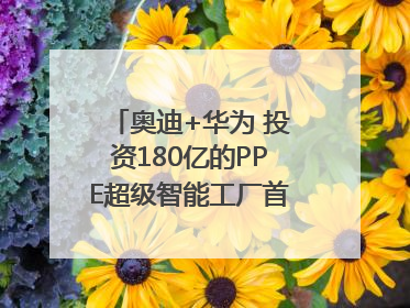 奥迪+华为 投资180亿的PPE超级智能工厂首款产品要搞大事情？｜粤港澳车展