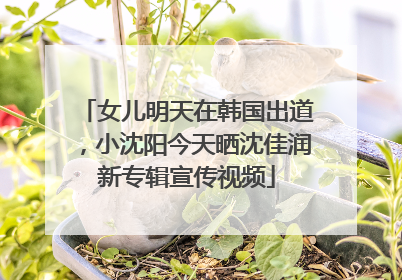 女儿明天在韩国出道，小沈阳今天晒沈佳润新专辑宣传视频
