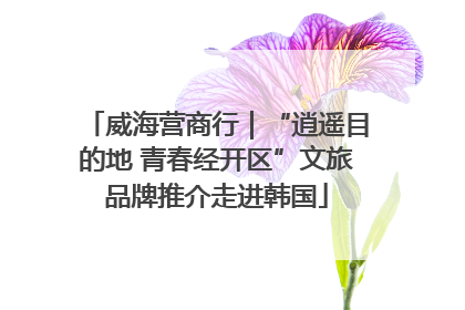 威海营商行｜“逍遥目的地 青春经开区”文旅品牌推介走进韩国