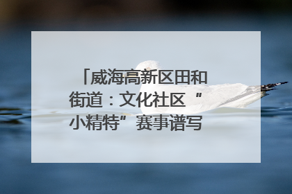 威海高新区田和街道：文化社区“小精特”赛事谱写文化赋能新乐章