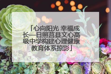 心向阳光 幸福成长—日照莒县文心高级中学构建心理健康教育体系掠影