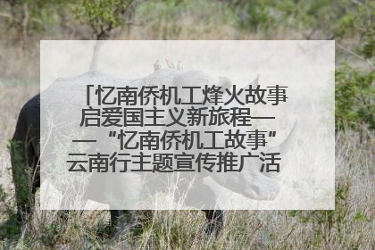 忆南侨机工烽火故事 启爱国主义新旅程——“忆南侨机工故事”云南行主题宣传推广活动圆满收官
