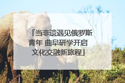 当非遗遇见俄罗斯青年 曲阜研学开启文化交融新旅程