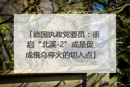 德国执政党要员：重启“北溪-2”或是促成俄乌停火的切入点